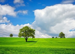 我希望，你会在我的眼泪掉下前就用手掌捂住我的眼睛