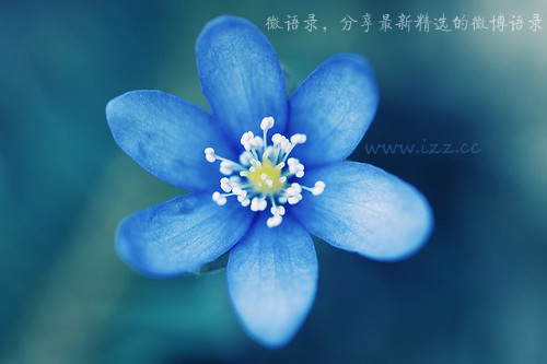 越是真，就越安静 越是久，就越平淡