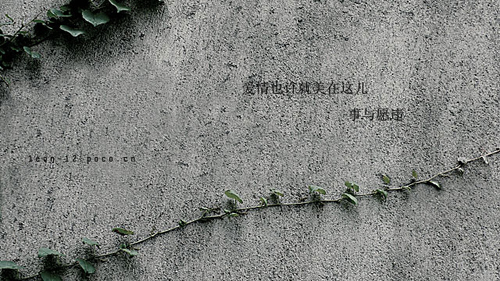 微语录