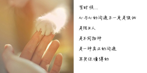 哲理句子