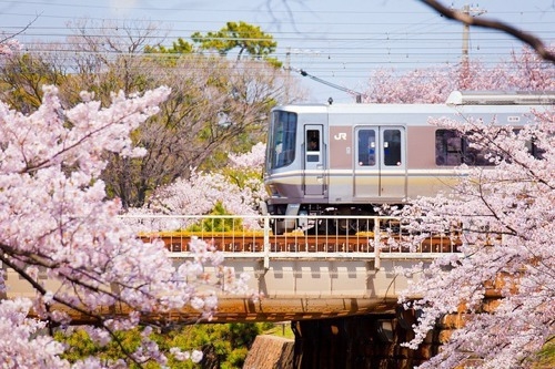 人生就像一列行駛的列車