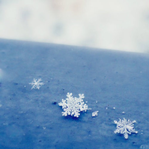 雪花，纯洁