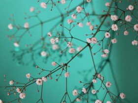 生活中许多事情我们不能改变，但可以尽力而为