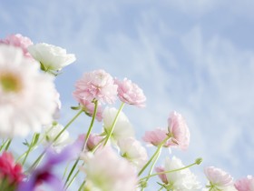 度过这几道坎，你就会回归平静