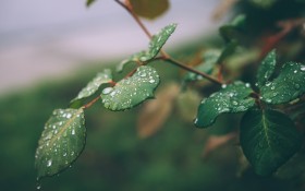 只要你勇於面對抬起頭來，就會發現，分數的陰霾不過是短暫的雨季