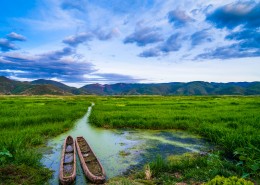 讓自己擁有一份淡淡的情愫，過著淡淡的閒情逸緻生活