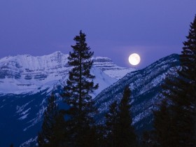 离乡千里，似浮萍漂外，但那里永远是生命里最禅意的风景