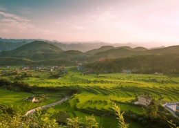 雁归，霜降，花落到碎，似叶枯，似残荷