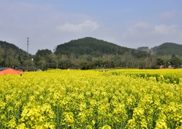 君子落得君子，小人枉为小人