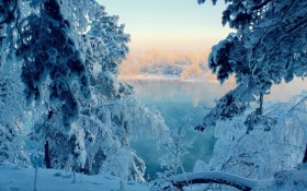 不敢睡太早，怕今夜的雪意融化在天明的太陽