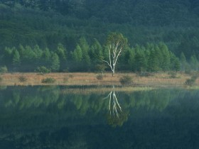 人海茫茫中相遇，已是不易，若能携手终身，更该彼此珍惜