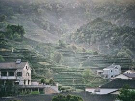 但能适时驻足歇息并懂得欣赏周遭景色的人，不仅可敬，而且越发可爱
