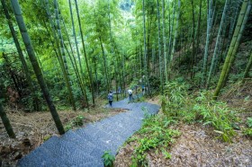 即使生活的道路困難重重，也要微笑面對，從容走過