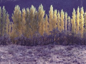 靠山山倒，靠水水流，依靠任何人都是一种痴心妄想