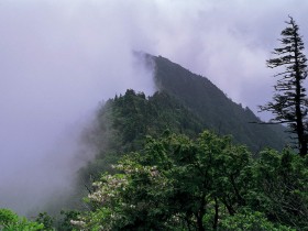 最后的结局，都归于了平静