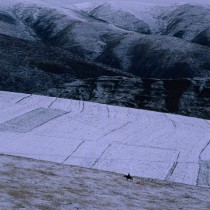 人生如同一首诗，只有反复地咀嚼才能读出它的意韵来