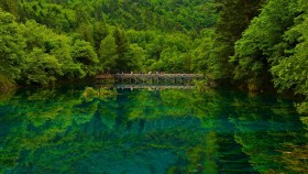 花香缱绻，云楼目尽望远帆，吟一阕易安词令