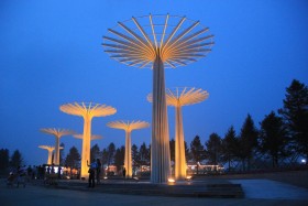 3536