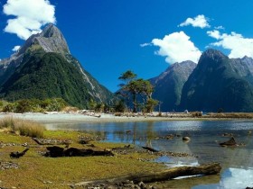 河边枫树红了又黄，黄了又红，但小河仍生机勃勃