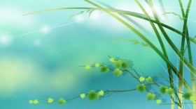 我没有理由不写下这个令我永远无法忘记的差错