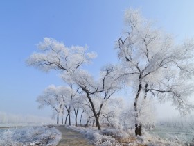 人的心若死执自己的观念智慧也低