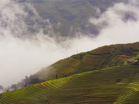 能被别人抢走的证明他不值得付出