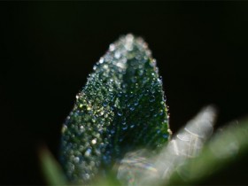 放弃浮躁喧嚣安静自己的心境