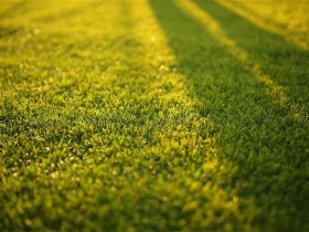 人生极点病态与极点觉悟的人毕竟不多