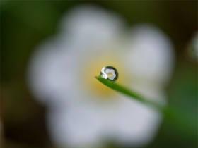 生死虽是必定却有许多美丽的奇观