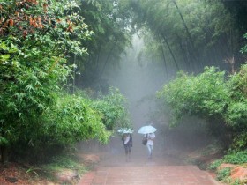 我们每次与朋友对坐喝茶都应该非常珍惜