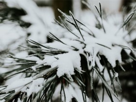 经历风霜雨雪，走过平淡流年