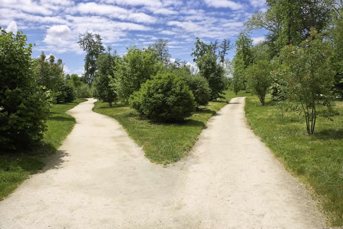 人生是一条有无限多岔口的长路，永远在不停地做选择